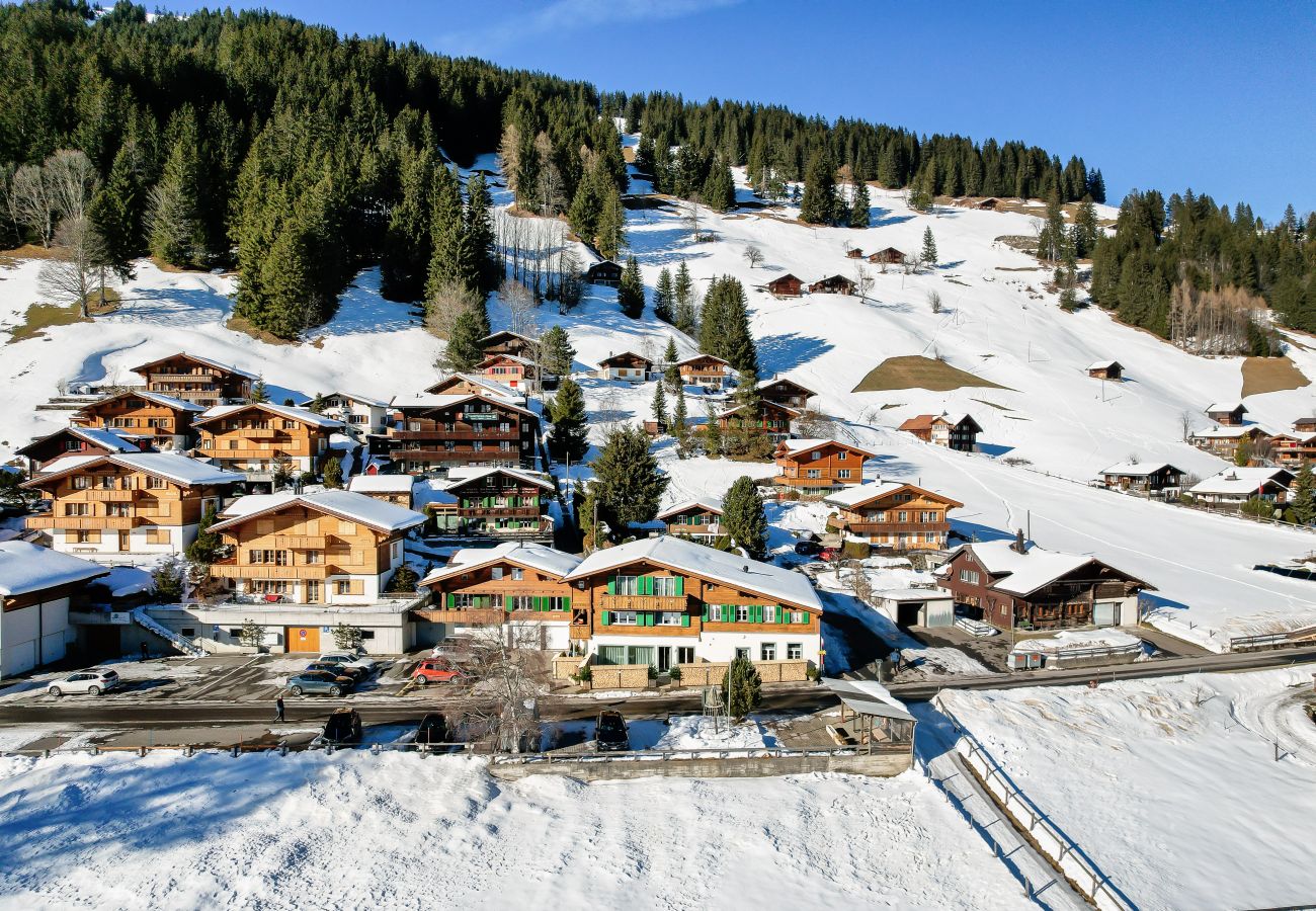 Ferienwohnung in Adelboden - Bijou Lohnerblick