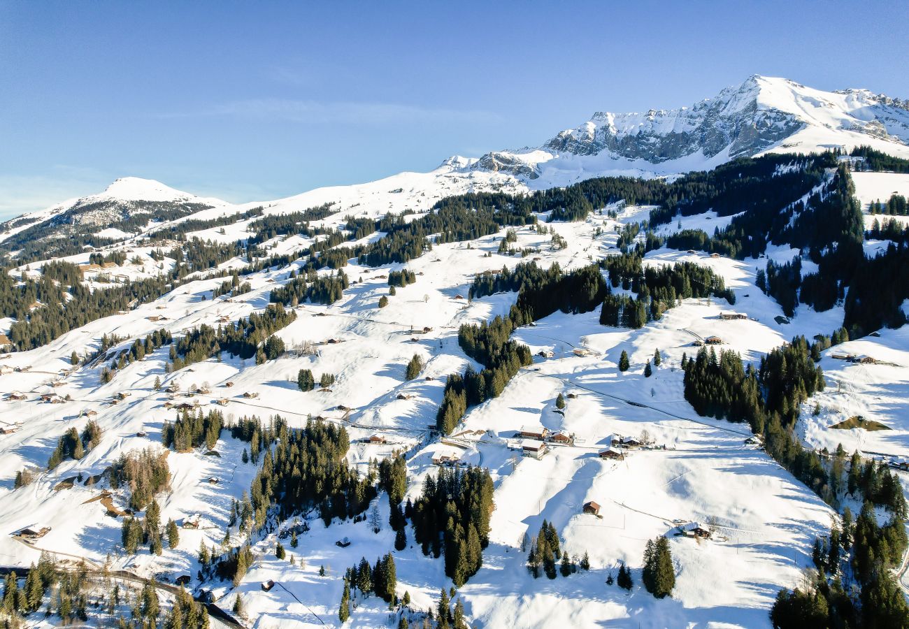Ferienwohnung in Adelboden - Bijou Lohnerblick