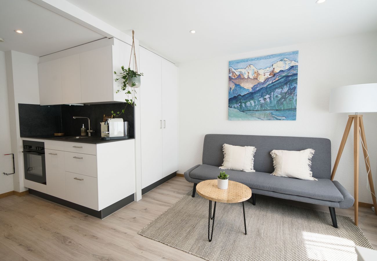 Ferienwohnung in Faulensee - Bijou Studio Faulensee
