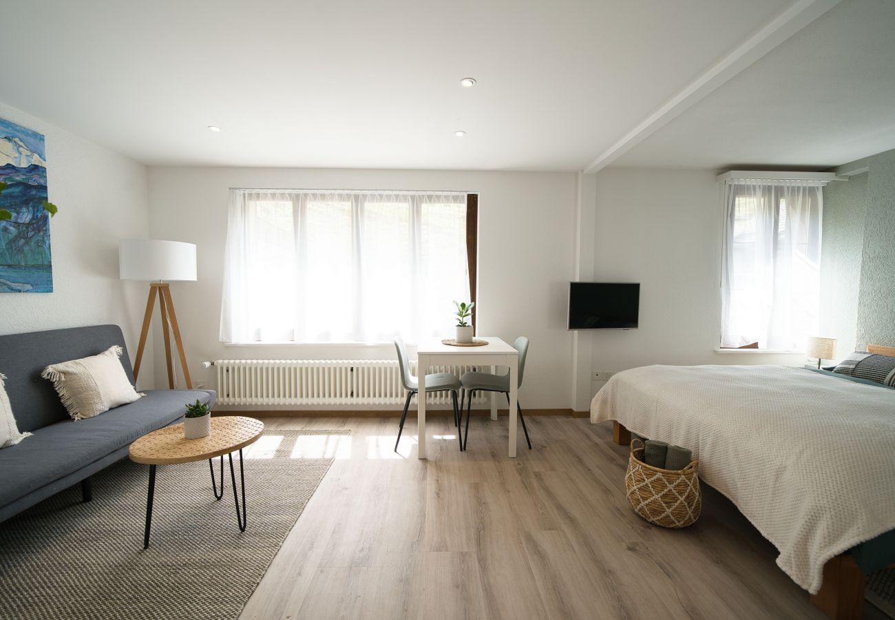Ferienwohnung in Faulensee - Bijou Studio Faulensee